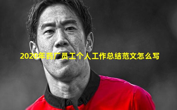 2020年药厂员工个人工作总结范文怎么写