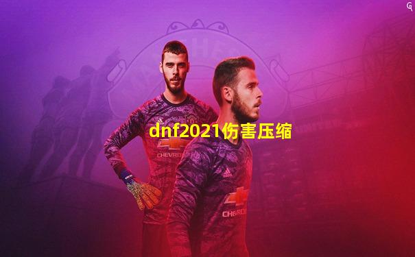 dnf2021伤害压缩