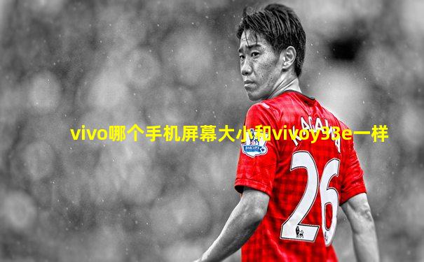 vivo哪个手机屏幕大小和vivoy33e一样