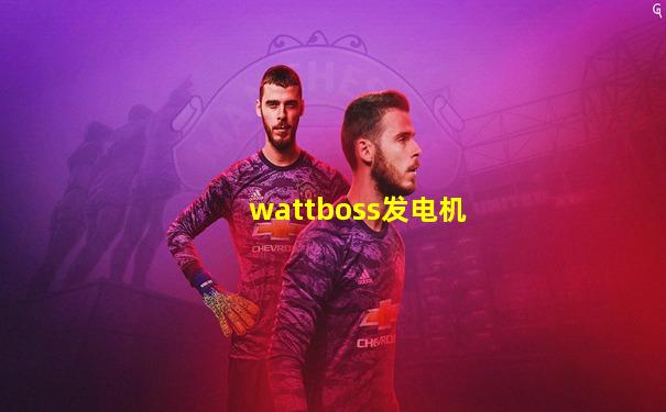 wattboss发电机