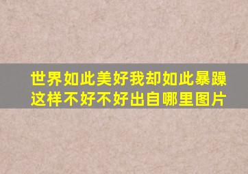 世界如此美好我却如此暴躁这样不好不好出自哪里图片