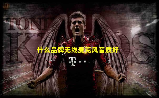 什么品牌无线麦克风音质好