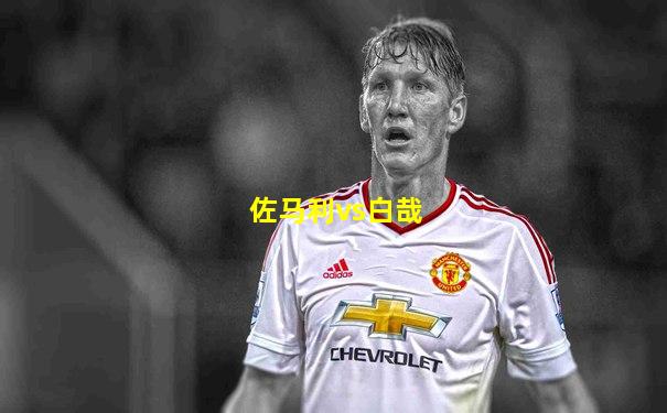 佐马利vs白哉