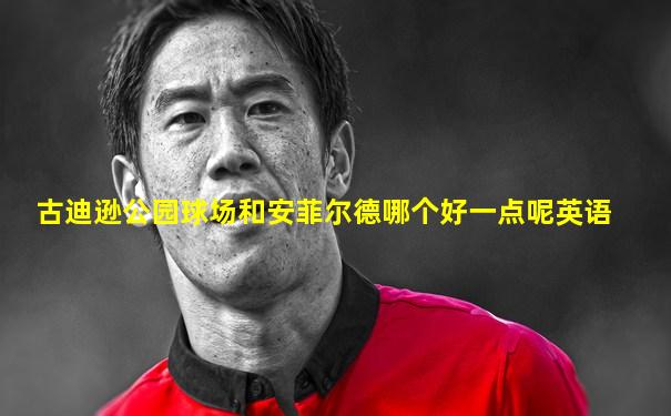 古迪逊公园球场和安菲尔德哪个好一点呢英语
