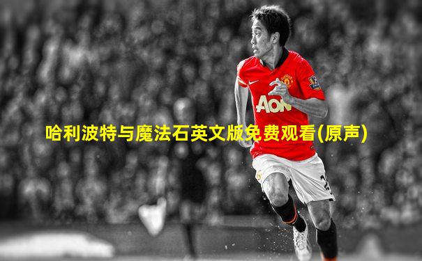 哈利波特与魔法石英文版免费观看(原声)