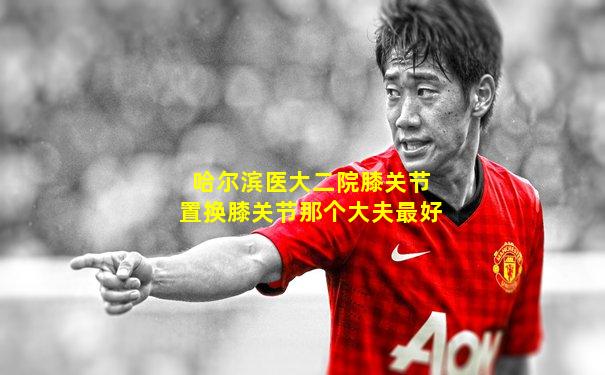 哈尔滨医大二院膝关节置换膝关节那个大夫最好