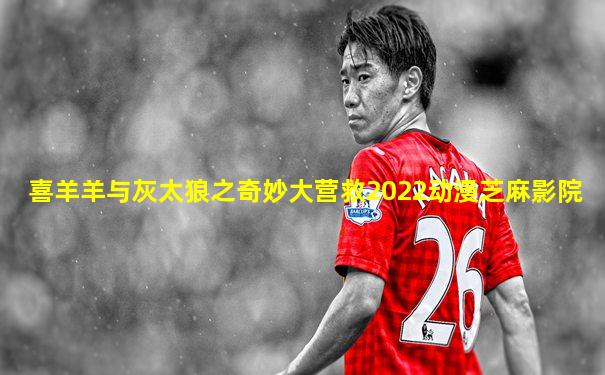 喜羊羊与灰太狼之奇妙大营救2022动漫芝麻影院