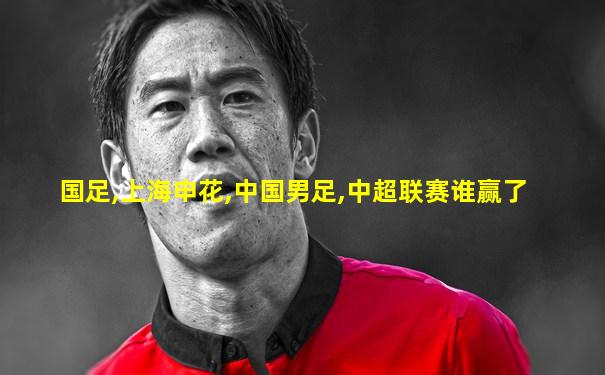 国足,上海申花,中国男足,中超联赛谁赢了