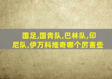 国足,国青队,巴林队,印尼队,伊万科维奇哪个厉害些