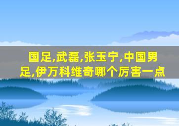 国足,武磊,张玉宁,中国男足,伊万科维奇哪个厉害一点