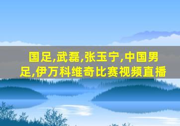 国足,武磊,张玉宁,中国男足,伊万科维奇比赛视频直播