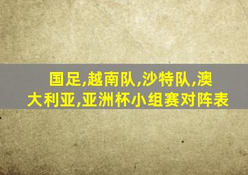 国足,越南队,沙特队,澳大利亚,亚洲杯小组赛对阵表
