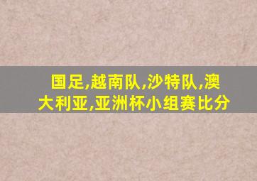 国足,越南队,沙特队,澳大利亚,亚洲杯小组赛比分