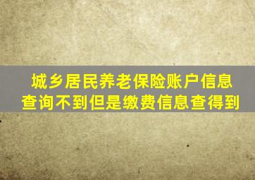 城乡居民养老保险账户信息查询不到但是缴费信息查得到