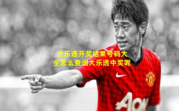 大乐透开奖结果号码大全怎么查出大乐透中奖呢