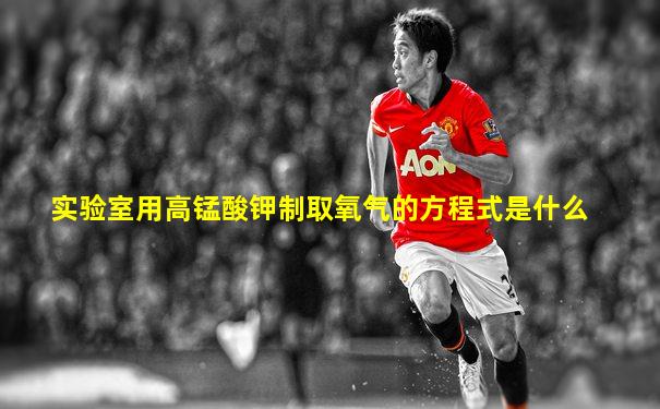 实验室用高锰酸钾制取氧气的方程式是什么