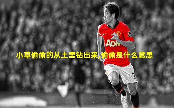 小草偷偷的从土里钻出来,偷偷是什么意思