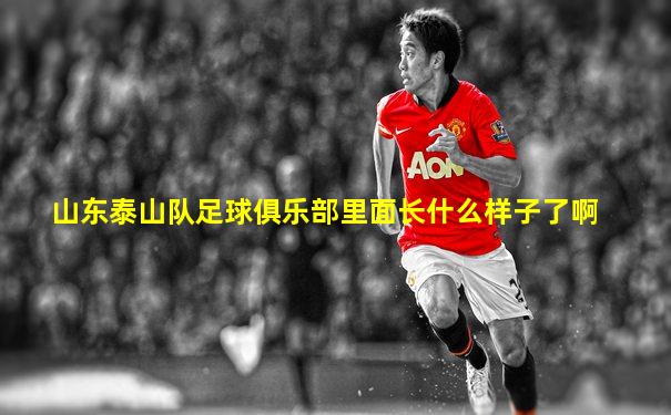 山东泰山队足球俱乐部里面长什么样子了啊