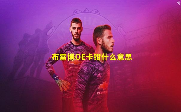布雷博OE卡钳什么意思
