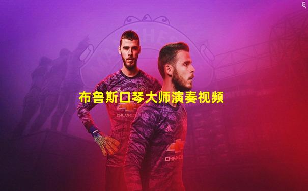 布鲁斯口琴大师演奏视频