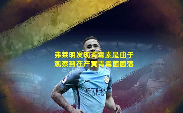 弗莱明发现青霉素是由于观察到在产黄青霉菌菌落