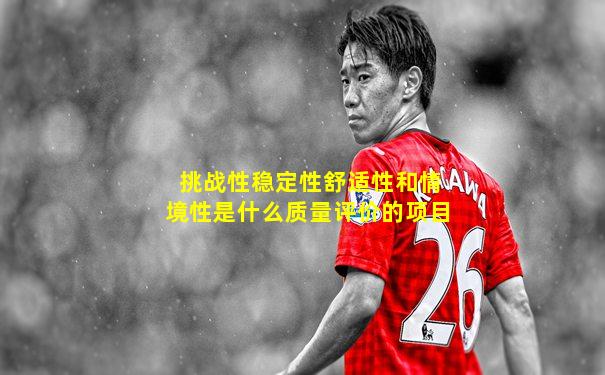 挑战性稳定性舒适性和情境性是什么质量评价的项目