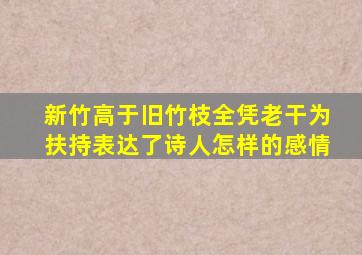 新竹高于旧竹枝全凭老干为扶持表达了诗人怎样的感情