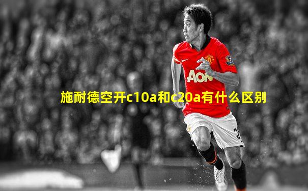 施耐德空开c10a和c20a有什么区别
