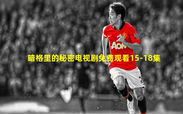 暗格里的秘密电视剧免费观看15-18集