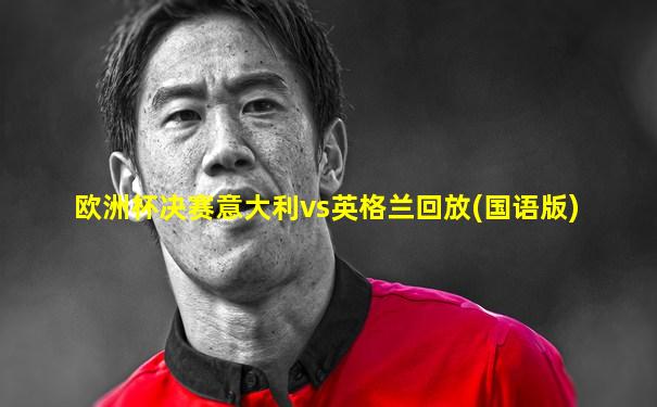 欧洲杯决赛意大利vs英格兰回放(国语版)