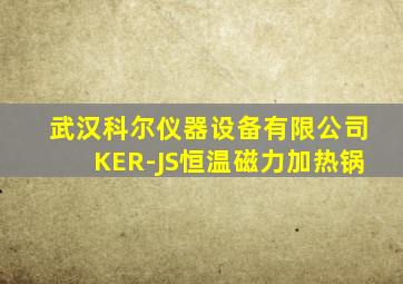 武汉科尔仪器设备有限公司KER-JS恒温磁力加热锅