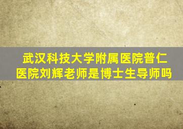 武汉科技大学附属医院普仁医院刘辉老师是博士生导师吗
