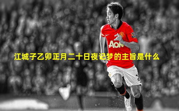江城子乙卯正月二十日夜记梦的主旨是什么