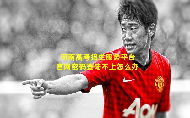 河南高考招生服务平台官网密码登陆不上怎么办