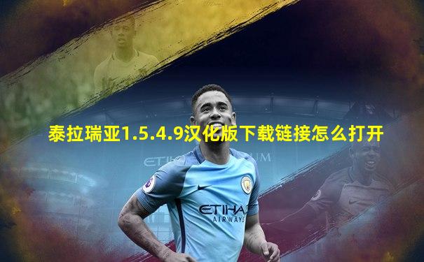 泰拉瑞亚1.5.4.9汉化版下载链接怎么打开