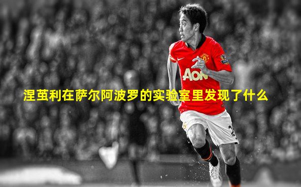 涅茧利在萨尔阿波罗的实验室里发现了什么