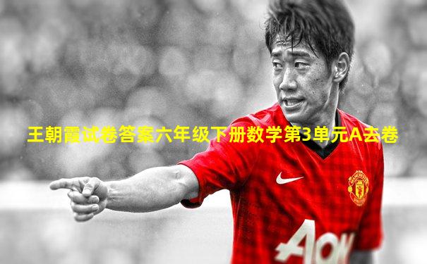 王朝霞试卷答案六年级下册数学第3单元A去卷
