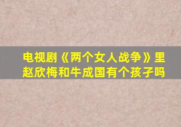 电视剧《两个女人战争》里赵欣梅和牛成国有个孩孑吗