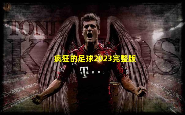 疯狂的足球2023完整版