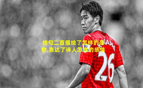 绝句二首描绘了怎样的景物,表达了诗人怎样的感情