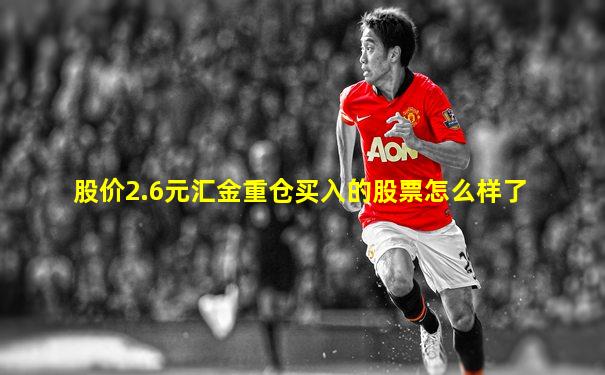 股价2.6元汇金重仓买入的股票怎么样了