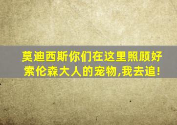 莫迪西斯你们在这里照顾好索伦森大人的宠物,我去追!