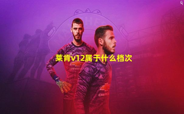 莱肯v12属于什么档次