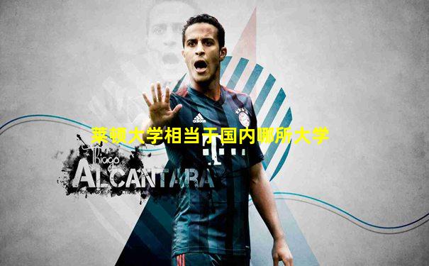 莱顿大学相当于国内哪所大学