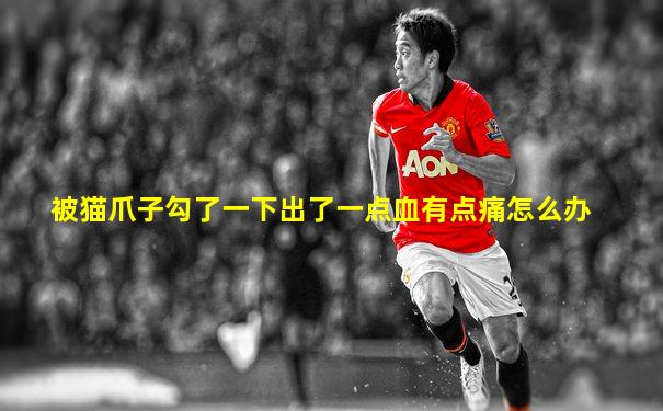 被猫爪子勾了一下出了一点血有点痛怎么办