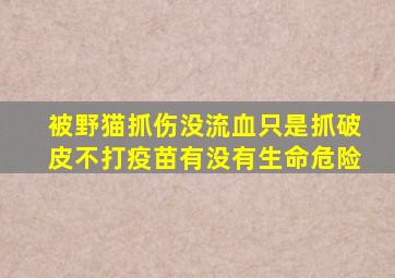 被野猫抓伤没流血只是抓破皮不打疫苗有没有生命危险