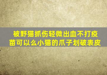 被野猫抓伤轻微出血不打疫苗可以么小猫的爪子划破表皮