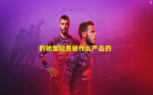 豹驰国际是做什么产品的
