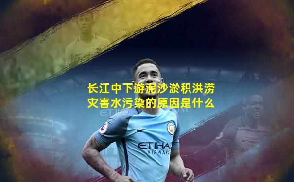 长江中下游泥沙淤积洪涝灾害水污染的原因是什么