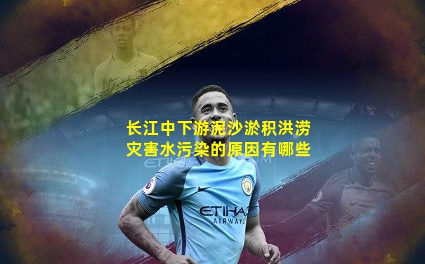 长江中下游泥沙淤积洪涝灾害水污染的原因有哪些